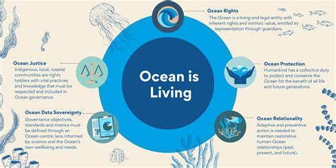 A Vision for Our Global Ocean .